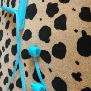 Beats flex earphones, preloved